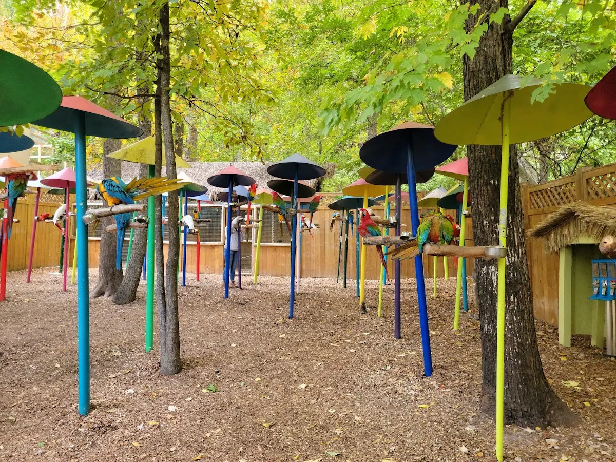 google place photo (5)